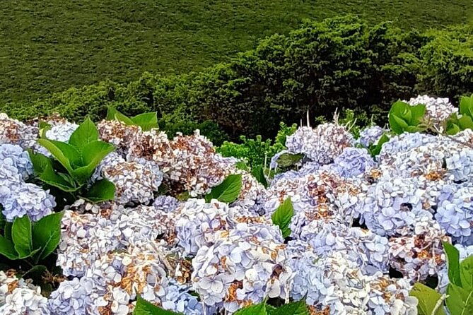 hike-3-hours-inland-terceira-island