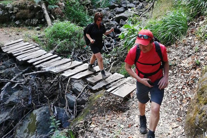 hiking-and-trekking-tours-in-madeira