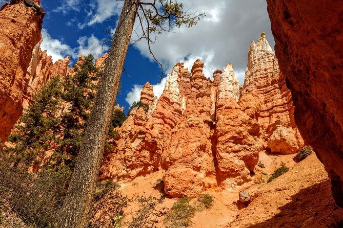 hiking-experience-in-bryce-canyon-national-park