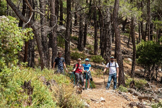 hiking-mountain-akramitis-rhodes-pick-up-service-available-2