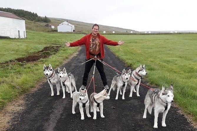 hiking-with-husky-in-akureyri-private