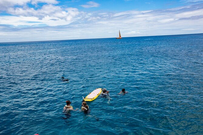 hilton-hawaiian-village-turtle-snorkel-with-optional-lunch