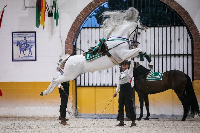 horse-and-flamenco-show-in-malaga-with-dinner-2