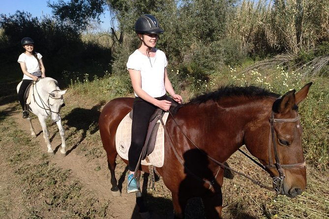 horse-riding-excursion-from-seville