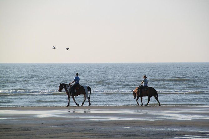 horse-riding-on-the-beach-rhodes