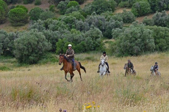 horseback-riding-4-options-mountain-lesson-ring-beach-2hours