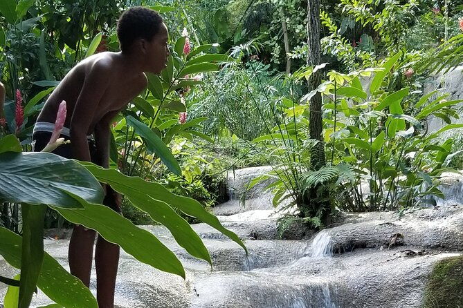 horseback-riding-blue-hole-and-lunch-from-ocho-rios