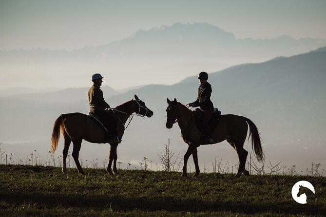 horseback-riding-for-experts-between-the-lake-and-the-mountains