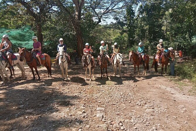 horseback-riding-tours-on-the-beach-mountain
