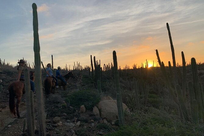 horseback-riding-wariruri-beach-tour-in-aruba