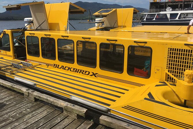 hovercraft-eco-adventure-and-wildlife-viewing