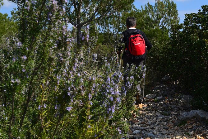 hvar-lavender-tour