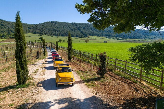 in-valle-ditria-on-a-vintage-fiat-500-photo-quest-tour