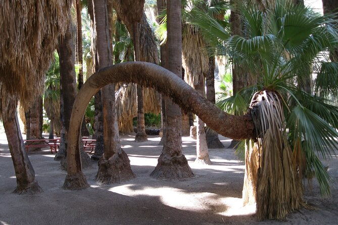 indian-canyons-hiking-tour-by-jeep-from-palm-desert