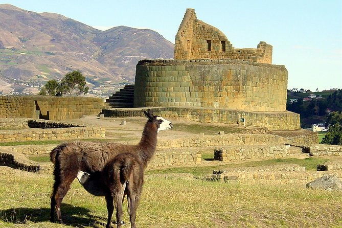 ingapirca-inca-ruins-cultural-day-trip-from-cuenca