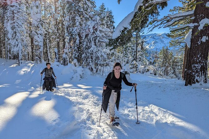 introductory-snowshoe-shared-experience