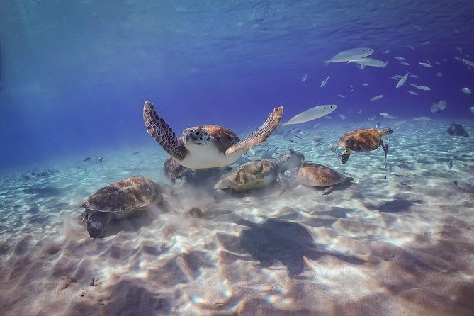 island-treasures-caves-turtles-and-turquoise-beach-break