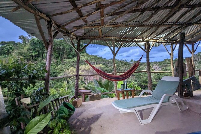 jamaican-roots-tropical-farm-tour-taste-explore-negril-2hr