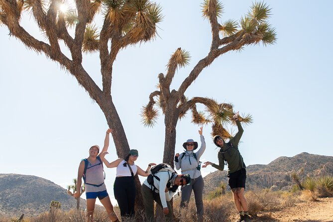 joshua-tree-full-day-private-tour-and-hike