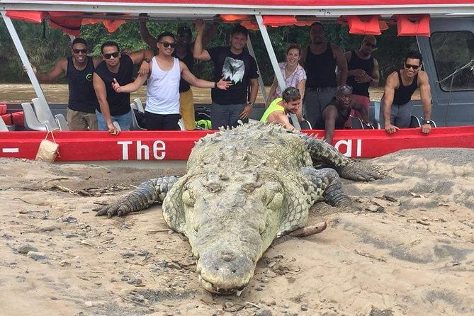 jungle-river-buggy-crocodile-tour-puntarenas-shore-excursion
