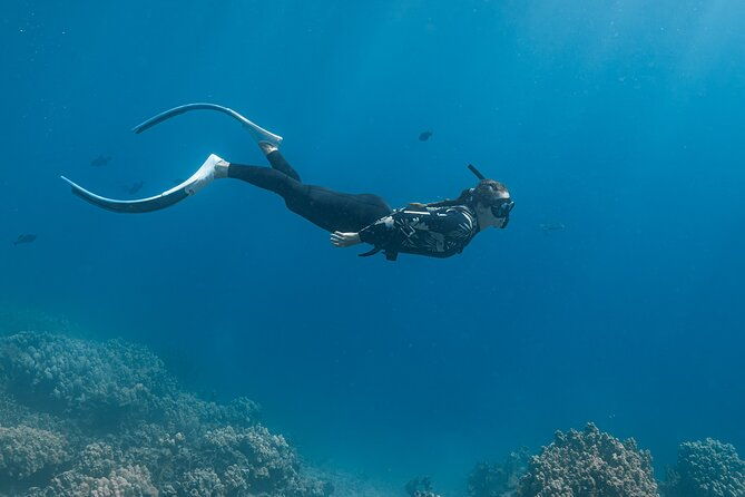 kaimana-kealakekua-bay-captain-cook-adventure