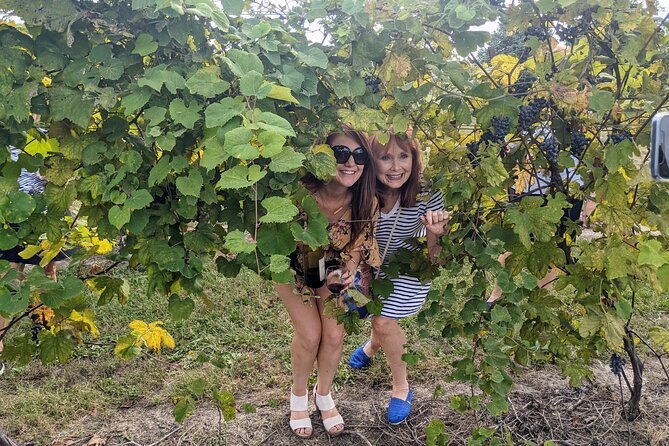 kansas-city-brewery-winery-and-distillery-tour-2