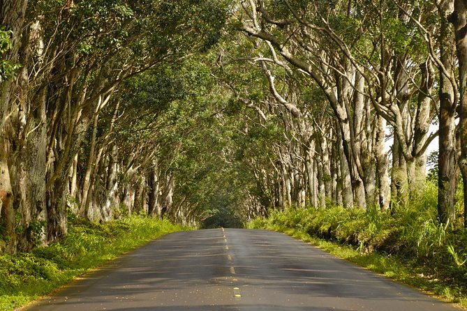kauai-poipu-koloa-town-audio-driving-tour