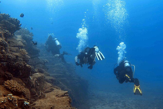 kauais-exclusive-morning-scuba-charter-for-experienced-divers