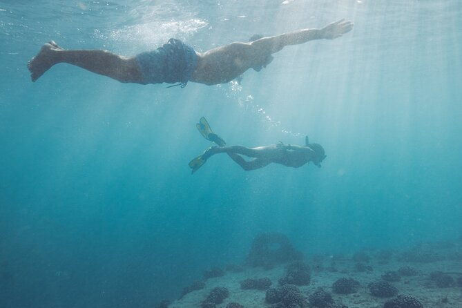 kayak-snorkel-and-surf-with-turtles-in-honolulu