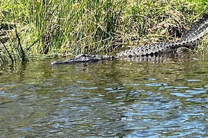 kayak-tour-of-the-honey-island-swamp-and-backwaters
