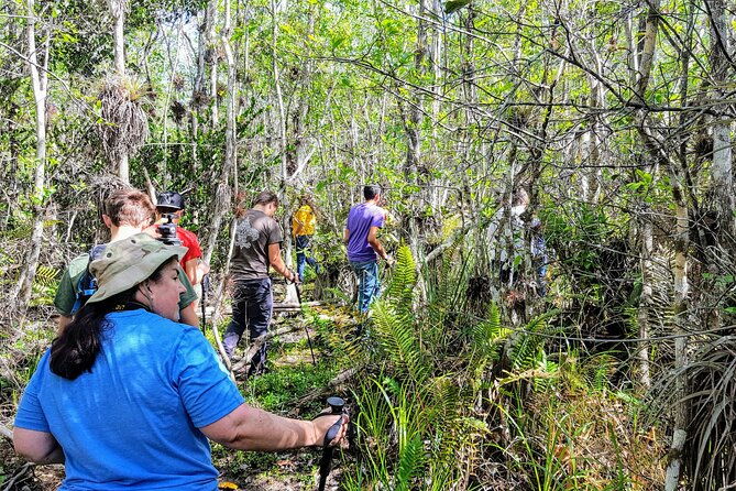 kayak-trip-1-wet-hike-2-dry-hikes-in-everglades-national-park