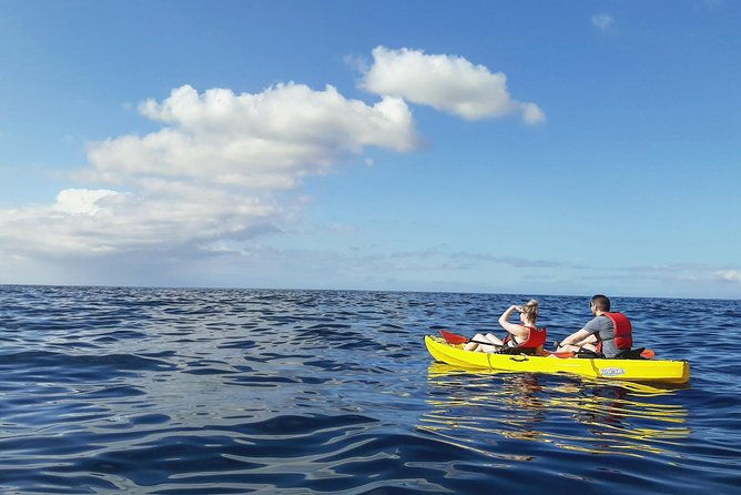 kayak-with-dolphin-turtle-watching-private-tour