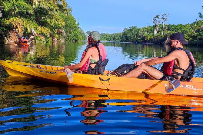 kayaking-tour-in-gandoca-lagoon-throug-mangrove-forest