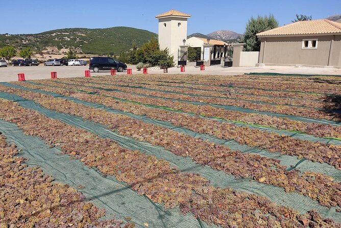 kefalonia-private-olive-oil-honey-wine-tasting-experience