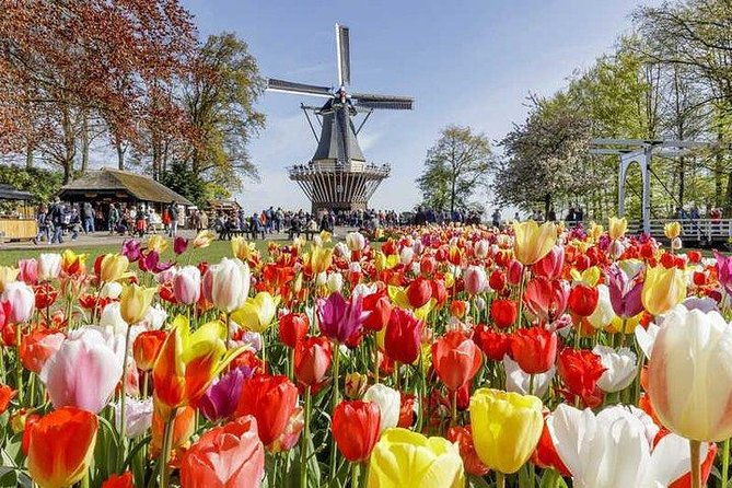 keukenhof-skip-the-line-tickets-countryside-farm-private-tour