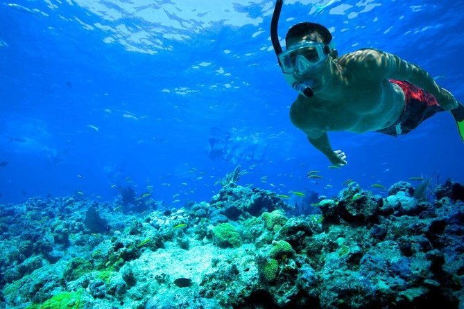 key-west-reef-snorkel-morning-mimosas-or-afternoon-margaritas