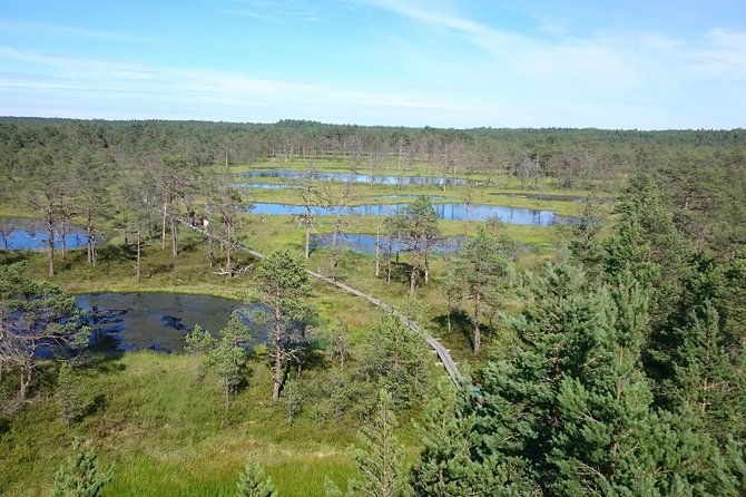 lahemaa-national-park-in-estonia