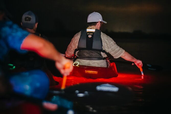 led-bio-comb-jelly-clear-bottom-kayak-or-paddleboard-tour-2