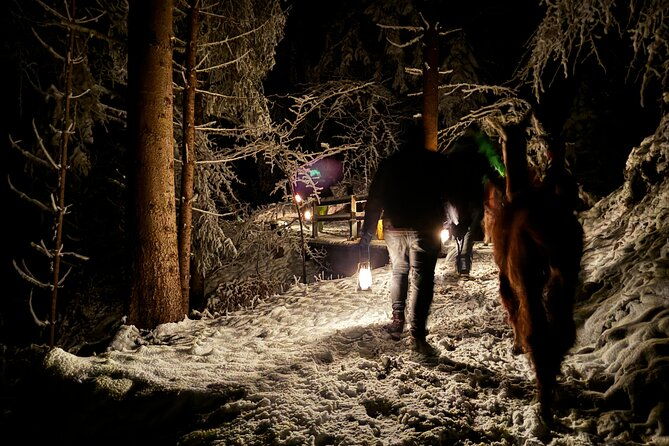 llama-hike-with-homemade-traditional-cheese-fondue
