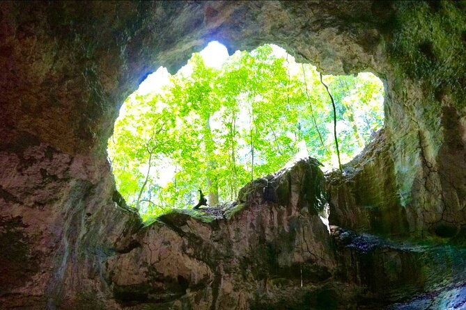 los-haitises-national-park-and-cayo-levantado-island-day-trip-from-samana