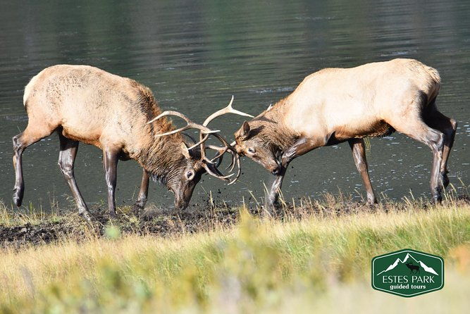 lower-valley-tour-rmnp