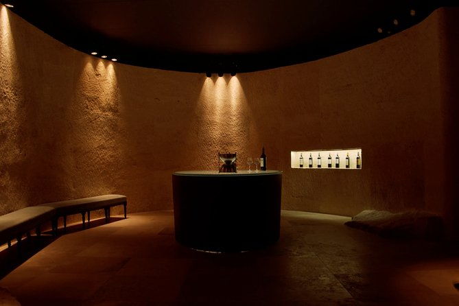 luxurious-full-day-bordeaux-wine-tour-in-a-tesla