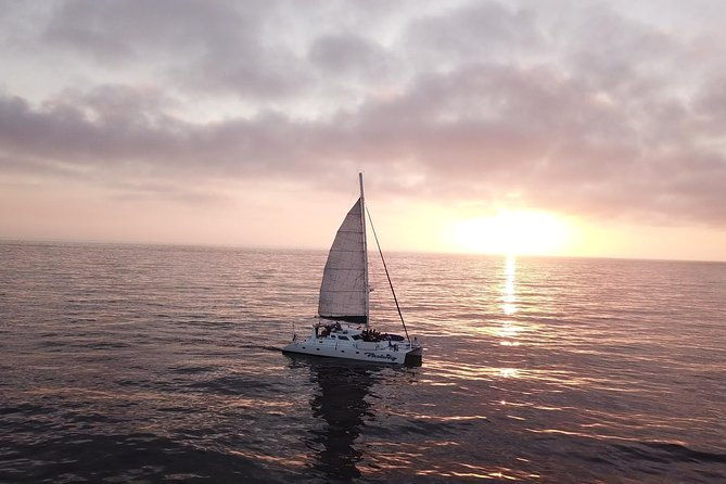 luxury-catamaran-sailing-charter-of-san-diego