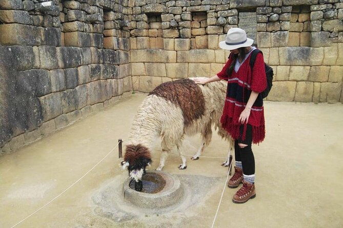 machu-picchu-full-day-private-tour