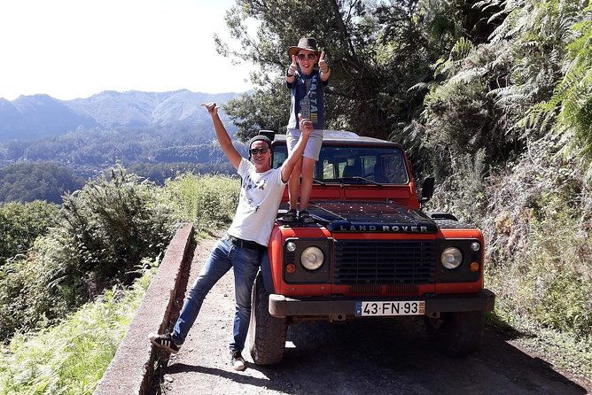 madeira-jeep-4x4-old-forest-full-day-tour-incl-pico-arieiro