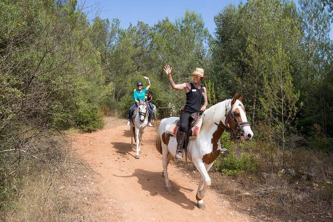 mallorca-wine-and-cheese-tasting