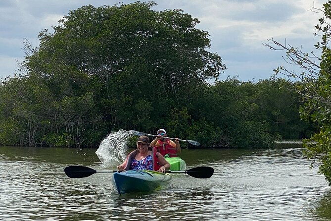 manatee-and-dolphin-kayak-tour-2