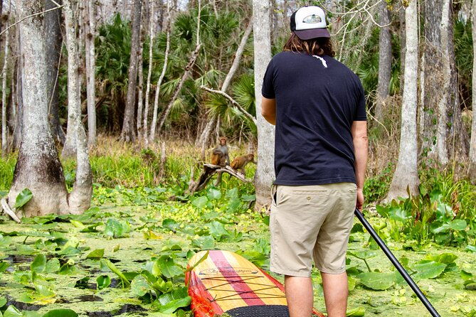 manatees-monkeys-and-florida-natural-spring-adventure-tour