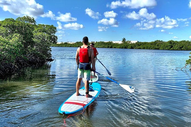 mangrove-sup-safari