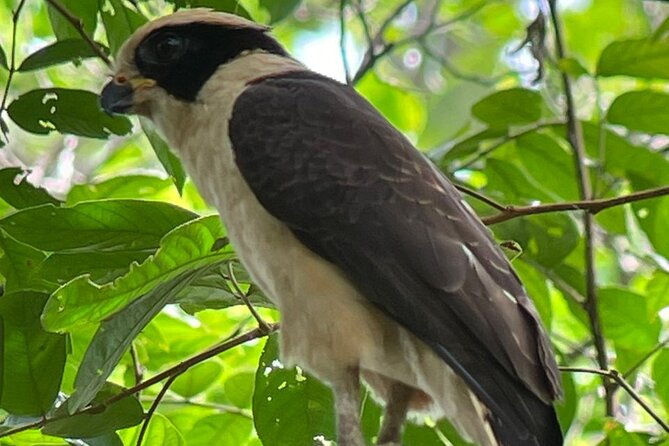 manuel-antonio-national-park-group-tour-park-ticket-not-included